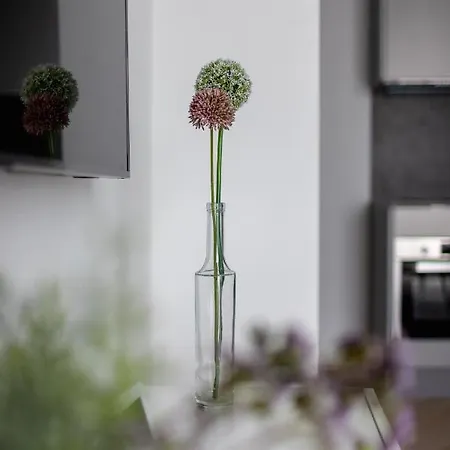 Apartament Steam Park Old Town Cracow By Renters